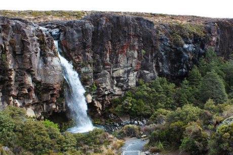 Nouvelle Zélande - Tongariri national parc - Les lubies de louise (20 sur 25)