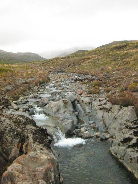 Nouvelle Zélande - Tongariri national parc - Les lubies de louise (22 sur 25)