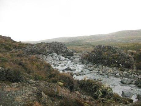 Nouvelle Zélande - Tongariri national parc - Les lubies de louise (21 sur 25)