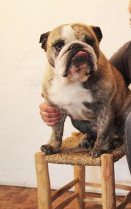 La chanson de Carla…