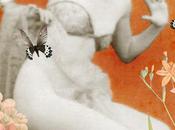 Découverte collages numériques Sonia