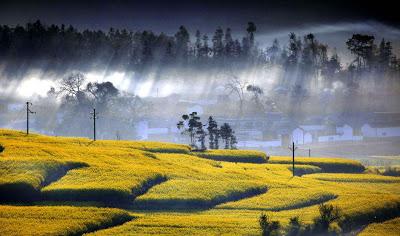 50 superbes Photos du Yunnan!