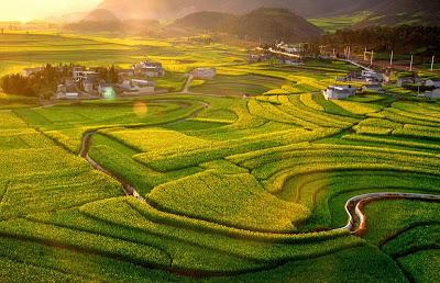 50 superbes Photos du Yunnan!