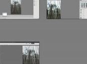 Logiciel alors Lightroom Photoshop Elements