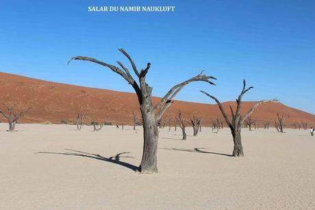 SALAR DU NAMIB DESERT