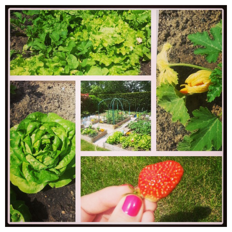 Ma vie (pas si) Discrète sur Instagram…(13)