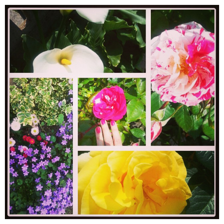 Ma vie (pas si) Discrète sur Instagram…(13)