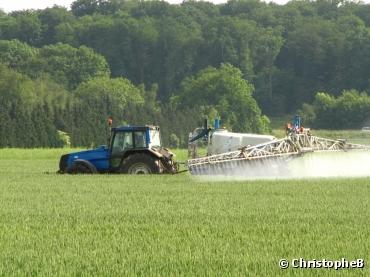 Santé : les preuves s'accumulent sur la toxicité des pesticides