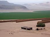 Arabie Saoudite Soitec désigné pour centrale solaire pilote