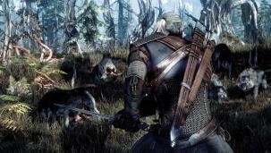  [E3] Des images de The Witcher 3  The Witcher 3 E32013 