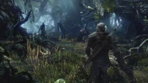  [E3] Des images de The Witcher 3  The Witcher 3 E32013 