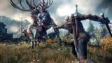 [E3 2013] Série d'images pour The Witcher 3