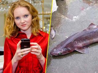 Lily Cole condamne l'utilisation de foies de requins dans l'industrie cosmétique