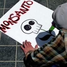 Vous Souhaitez Éviter les Produits Monsanto ?