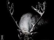 Promenade photographique Vendôme, édition 2013