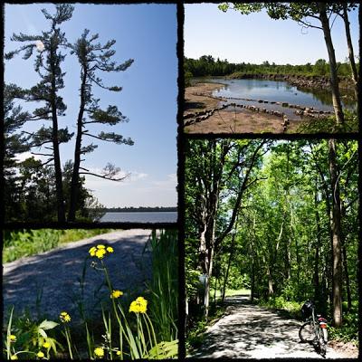 Ah! ce temps qui passe!