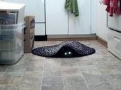 Quelques tweets passant