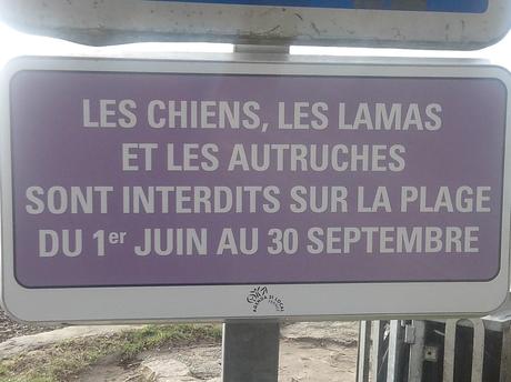 tombé dans le panneau