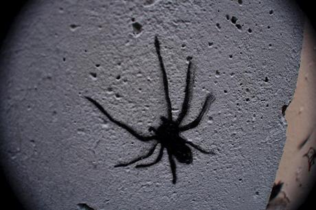 Spider Stencil