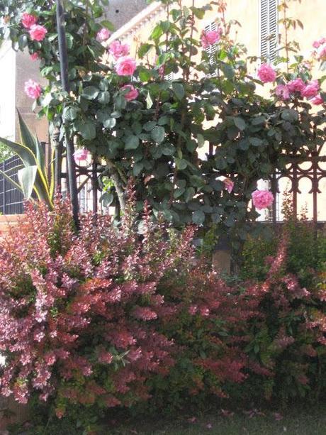 San Lazzaro degli Armeni