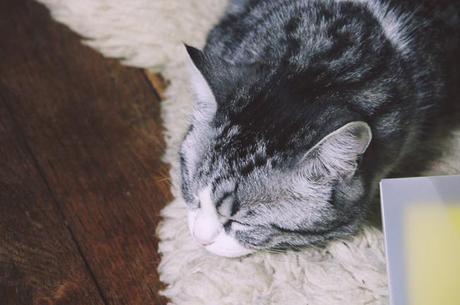 Les Photos du Dimanche #76 Les Photos du Dimanche #76