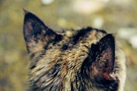 Les Photos du Dimanche #76 Les Photos du Dimanche #76