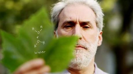 Une feuille artificielle qui génère de l'énergie à partir de la lumière