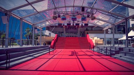 Photos : Cannes sous le soleil
