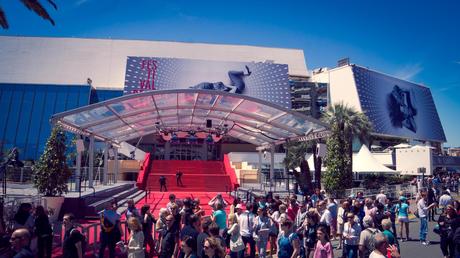 Photos : Cannes sous le soleil