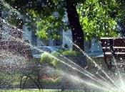 astuces pour arroser plantes pendant vacances