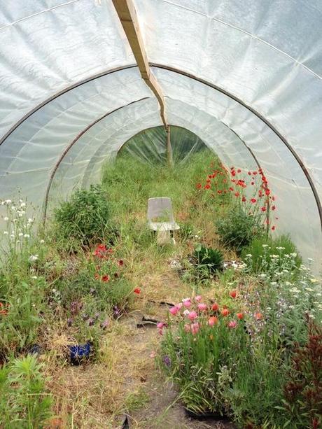 Un coin de tranquilité sous serre