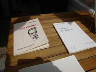 403- Mes textes mis en scène au festival off d'Avignon