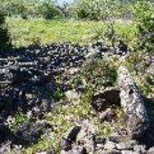 Très bon accord : échange thèse de diplôme...