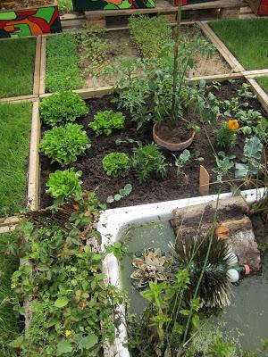 Au potager... [entre les gouttes]...!