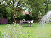 apéro dans jardin...