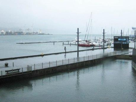 Nouvelle zélande - wellington - Les lubies de louise (3 sur 16)