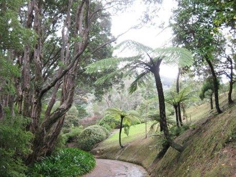 Nouvelle zélande - wellington - Les lubies de louise (12 sur 16)