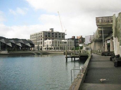 Nouvelle zélande - wellington - Les lubies de louise (6 sur 16)