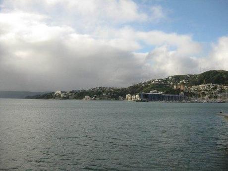 Nouvelle zélande - wellington - Les lubies de louise (7 sur 16)