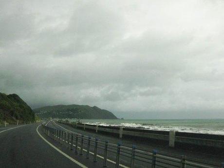 Nouvelle zélande - wellington - Les lubies de louise (2 sur 16)