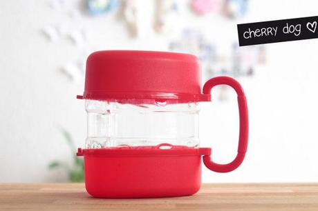 Le kit de voyage pour chiens