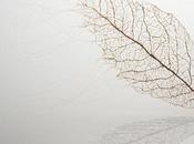 Jenine Shereos, Artist Hair