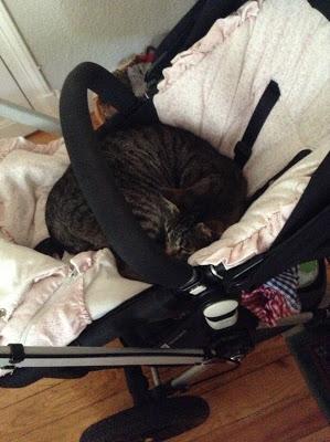 Ma semaine (au pays basque) en images