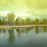 Les Arbres Bleus – Konstantin Dimopoulos Blue Trees - Albuquerque