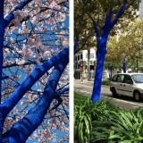 Les Arbres Bleus – Konstantin Dimopoulos Blue Trees - Sacremento