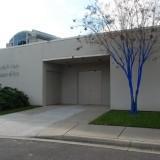 Les Arbres Bleus – Konstantin Dimopoulos Blue Trees - Gainesville