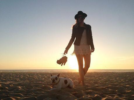 Le Monde est à Nous! x Fashion Pills fashion pills 8