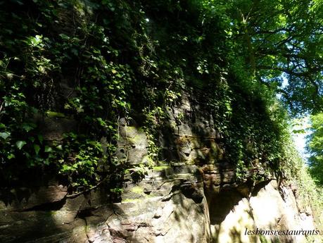 LA PETITE-PIERRE(67)-Le Sentier de l'Altenbourg