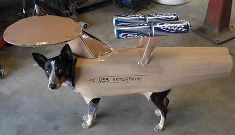 startrekdog2