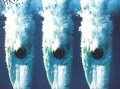 Bertrand Belin Kurt Vile Palma Violets Growlers